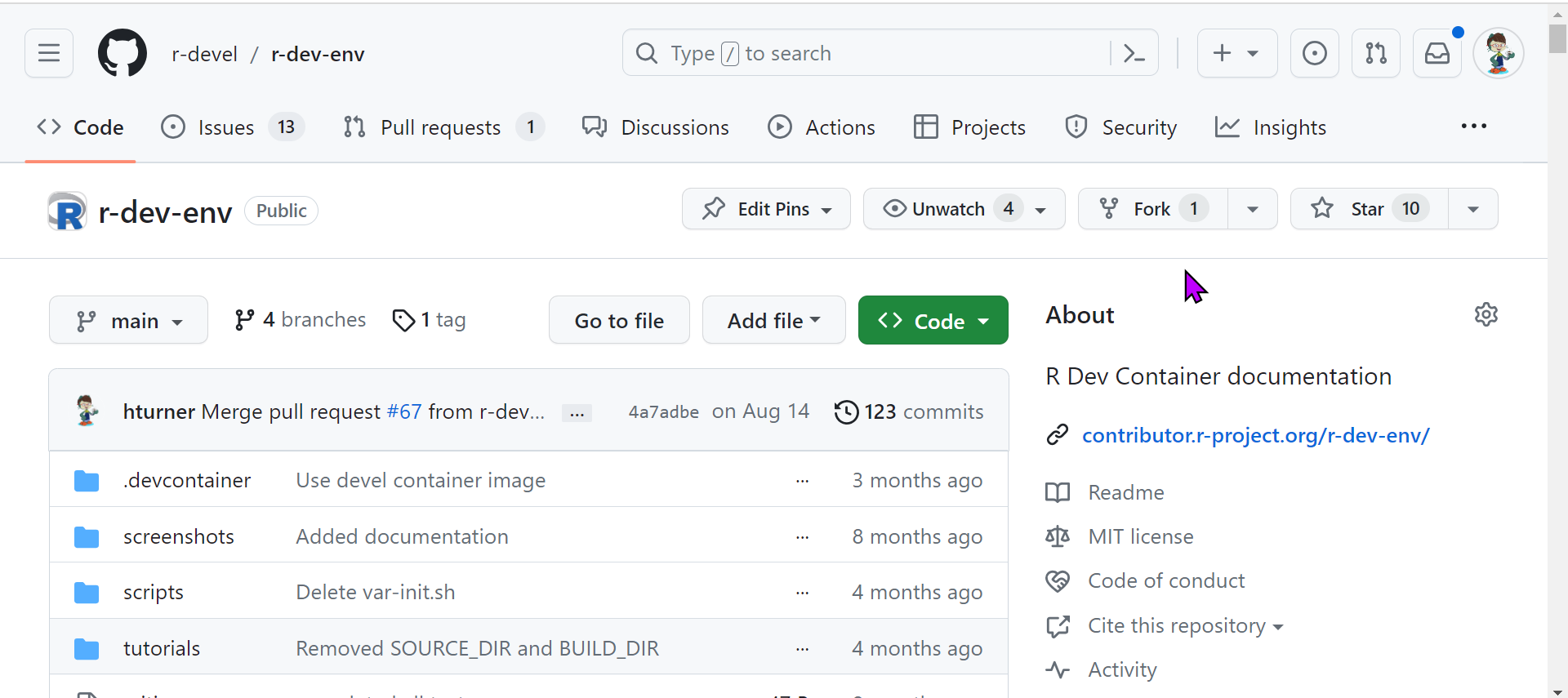 Screenshot of the r-dev-env GitHub repository