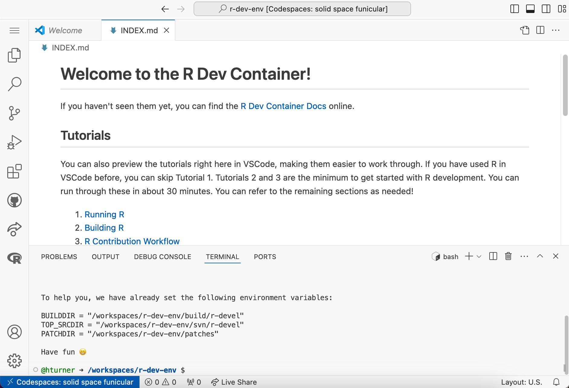 Screenshot of R Dev Container running in GitHub Codespaces.