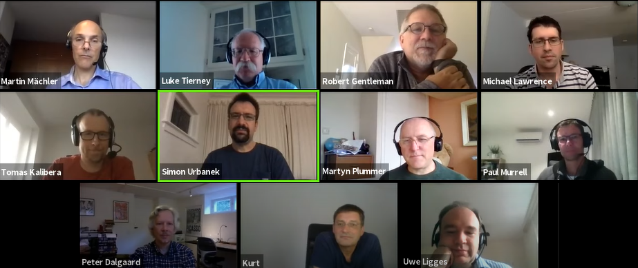11 members of R Core on a video call for useR! 2020 R Core Panel